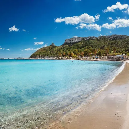 Petrarca Venti - Eja Sardinia